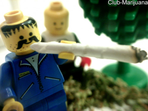 contest_entry__lego_joint.jpg