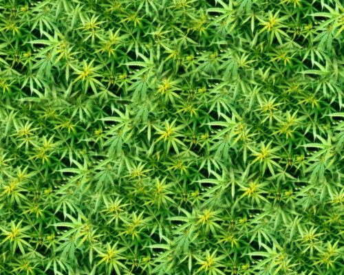 dank_wallpaper_by_club_marijuana.jpg