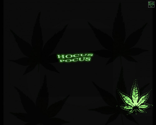 hocus_pocus_by_eminoir_by_club_marijuana.jpg
