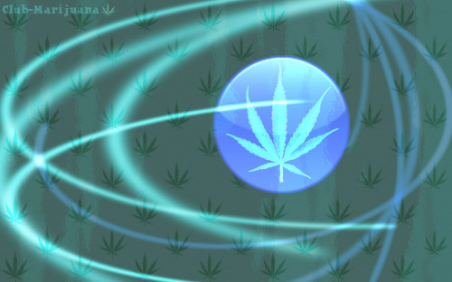marijuana_motion.jpg