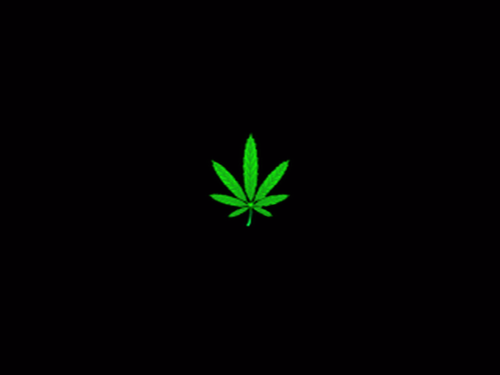 marijuana_small_leaf.png